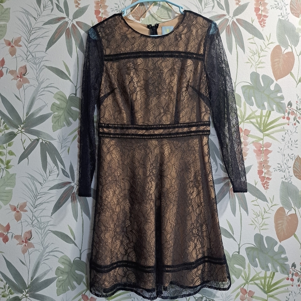 Cece Elegant Black Lace Dress Size 4P